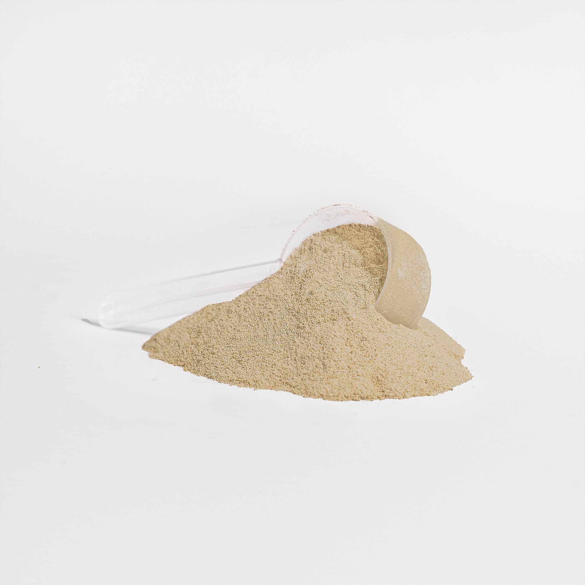Plant Protein Vanilla 2